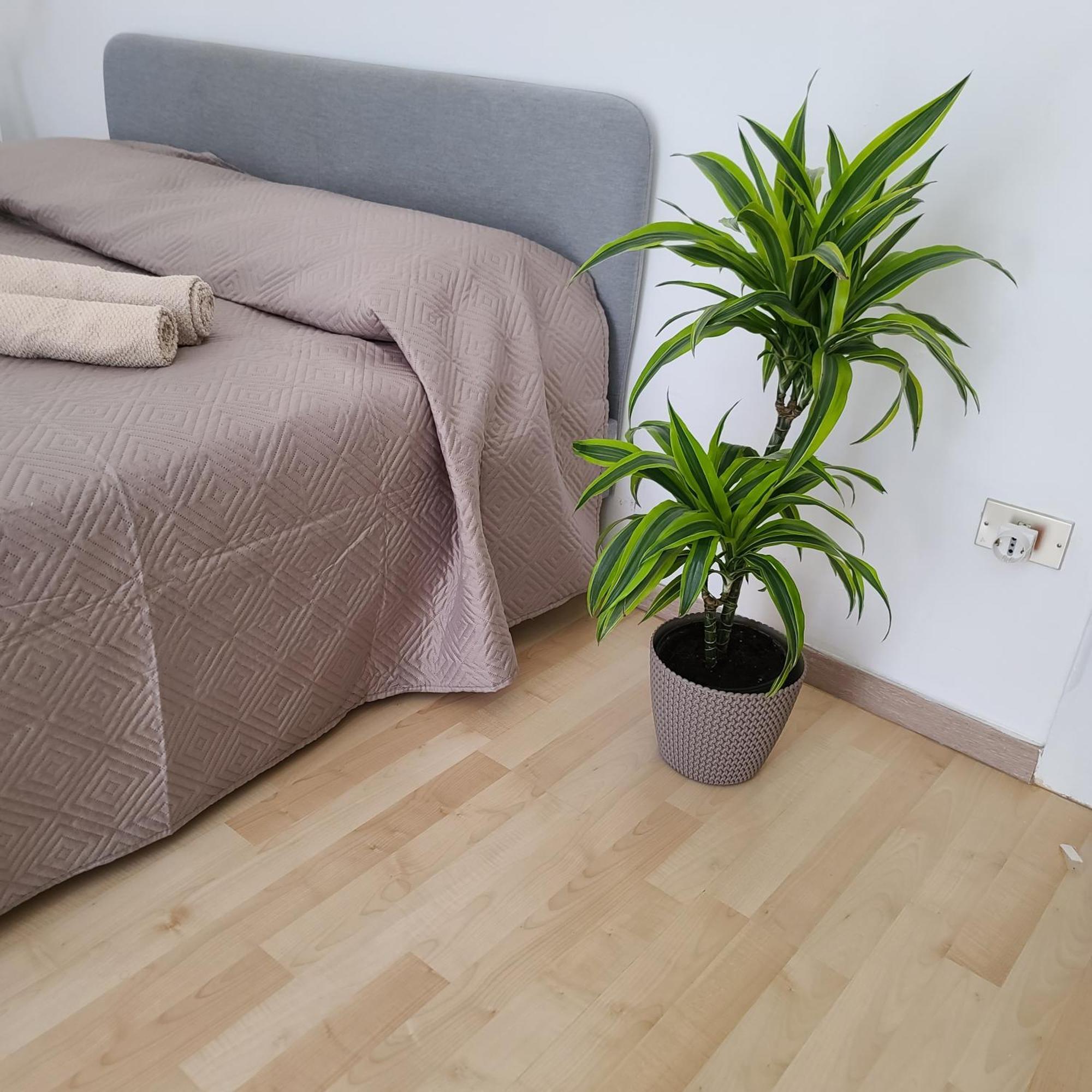 Mariamora Apartment Bari Bagian luar foto