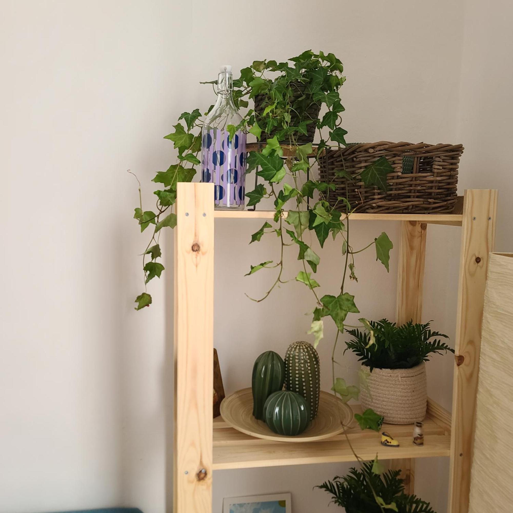 Mariamora Apartment Bari Bagian luar foto